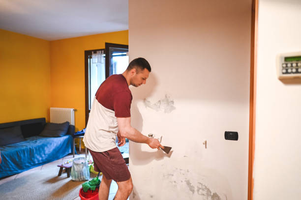 Best Toxic Mold Removal  in Pismo Beach, CA